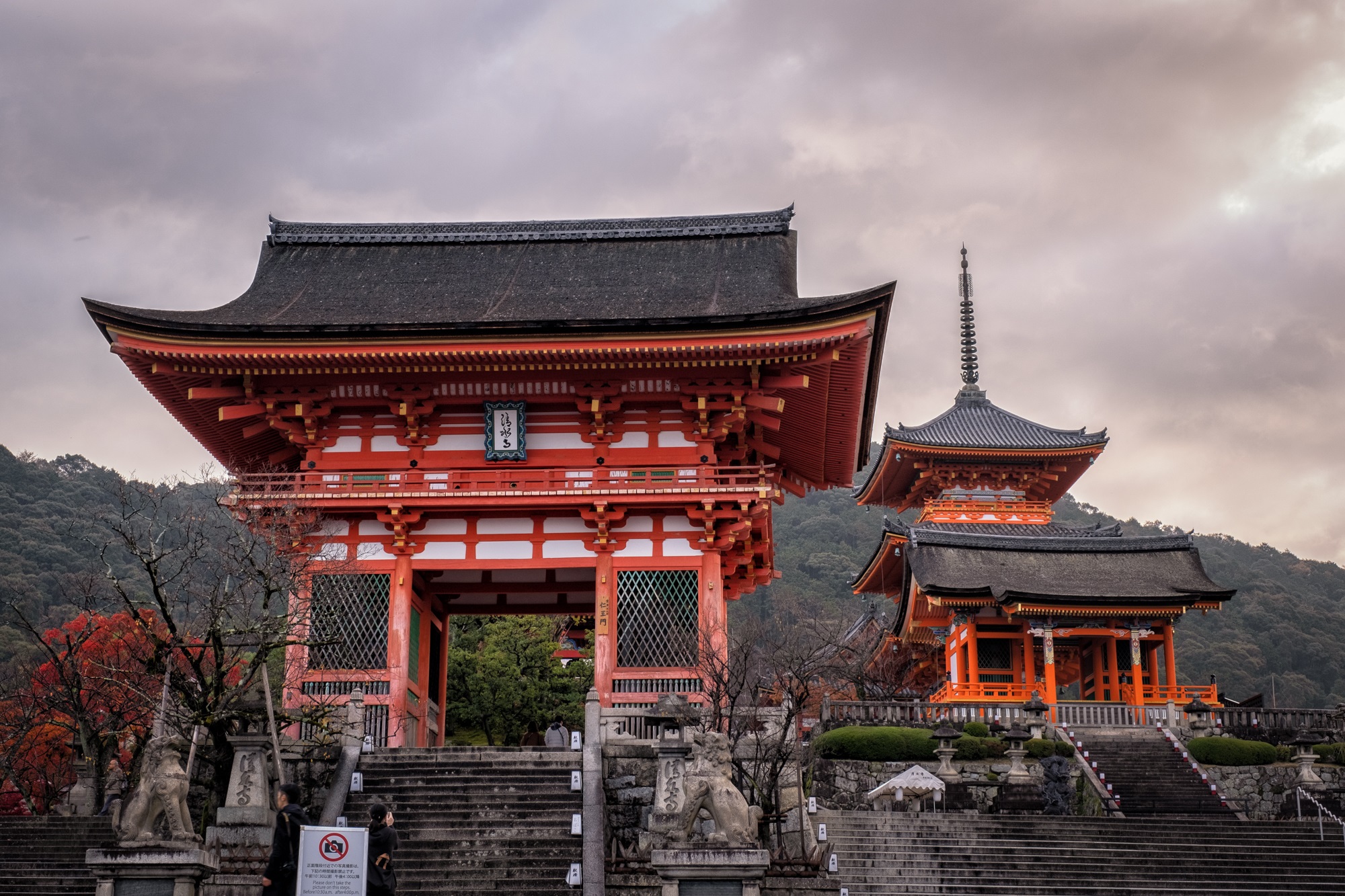 Japanese Language - Introductory 2