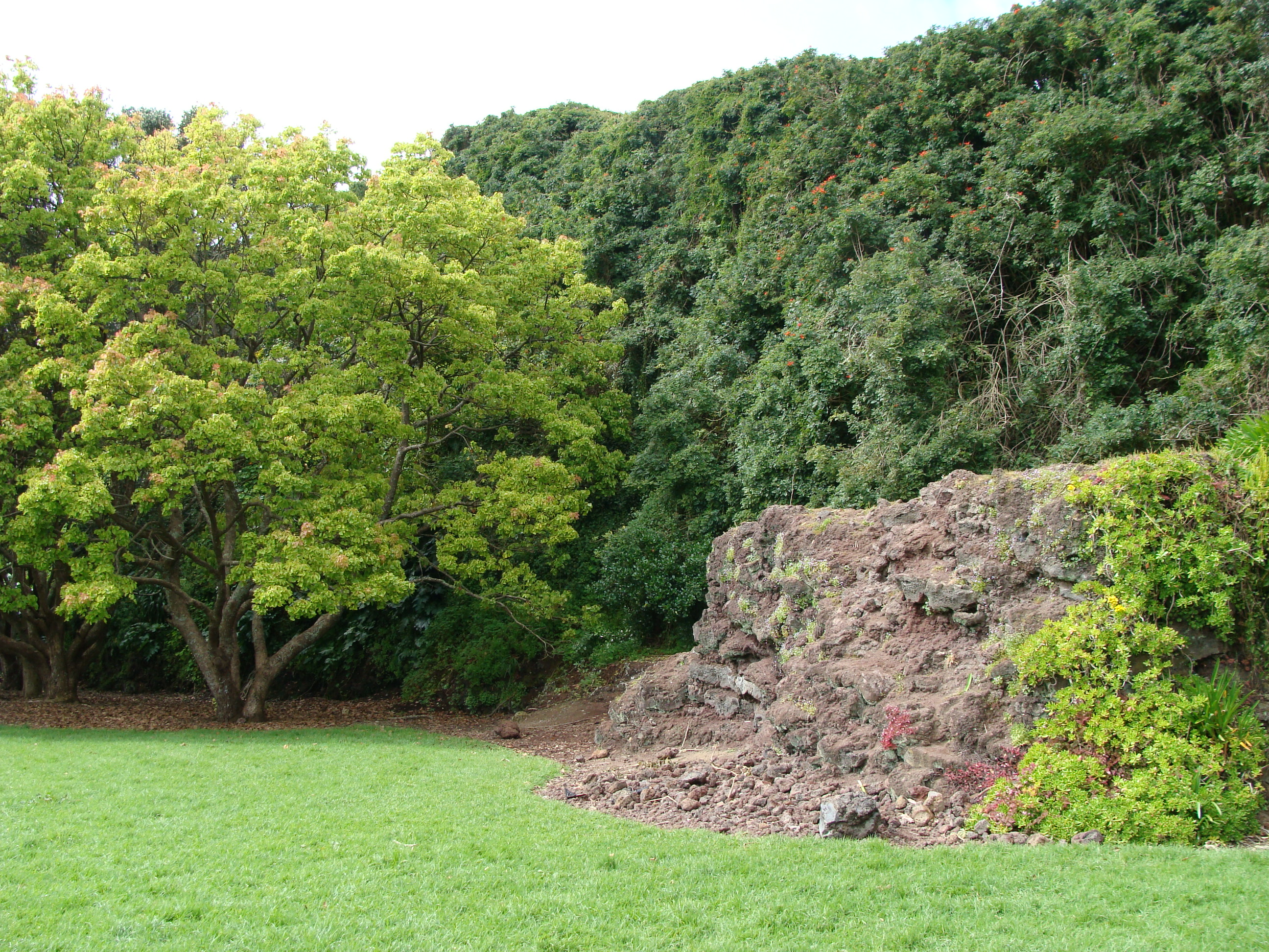 Little Rangitoto Reserve 游乐场 - 公众开放