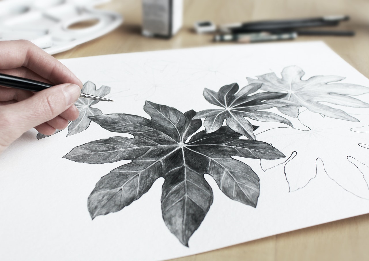 Drawing For Beginners