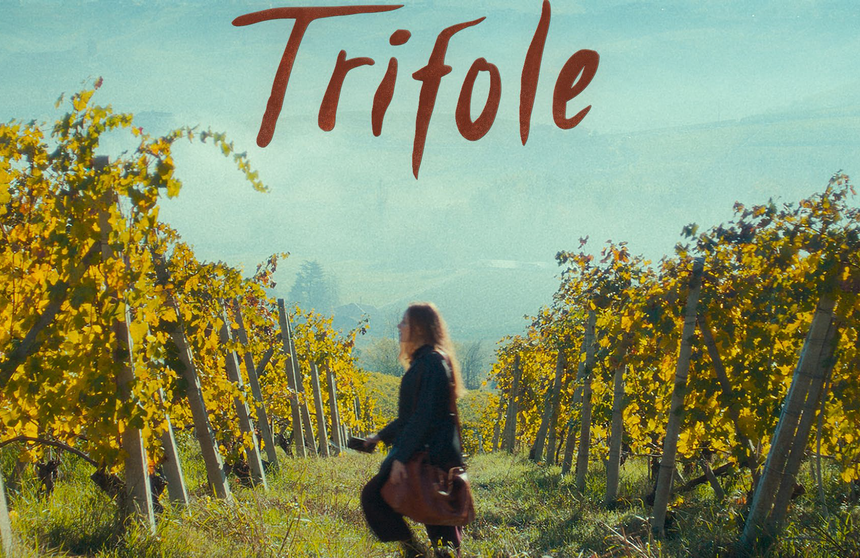 IFF26: Trifole
