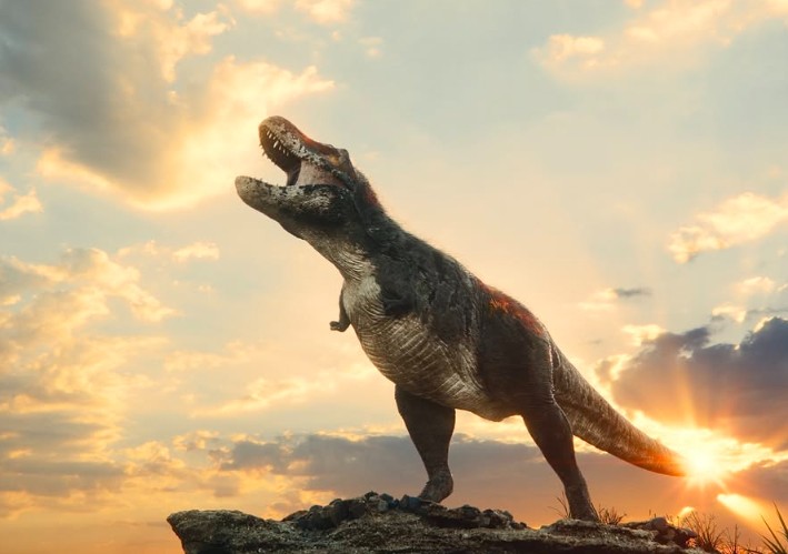 T.Rex——暴龙之王