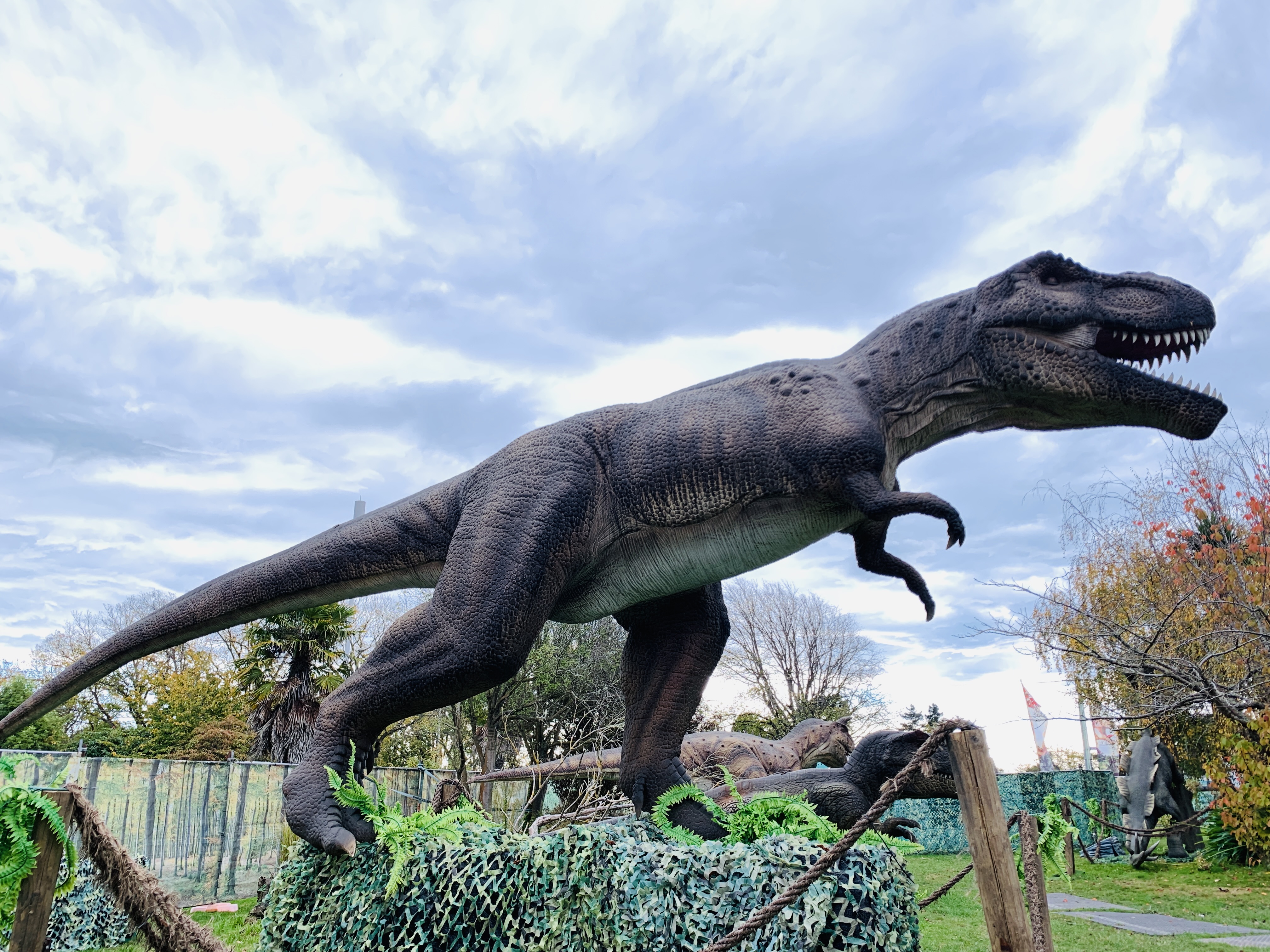 The Amazing Dinosaur Discovery